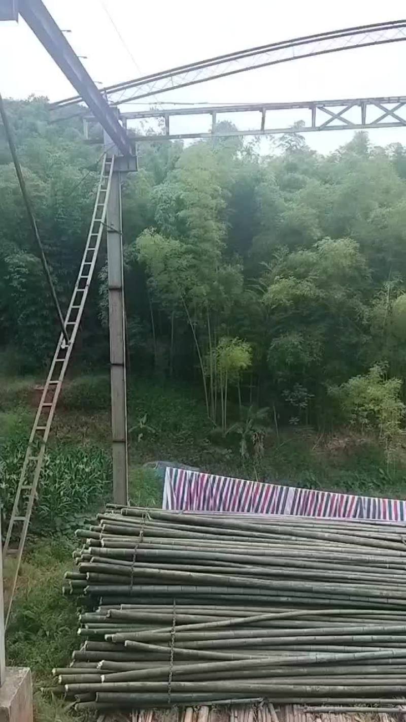 一次性卫生筷