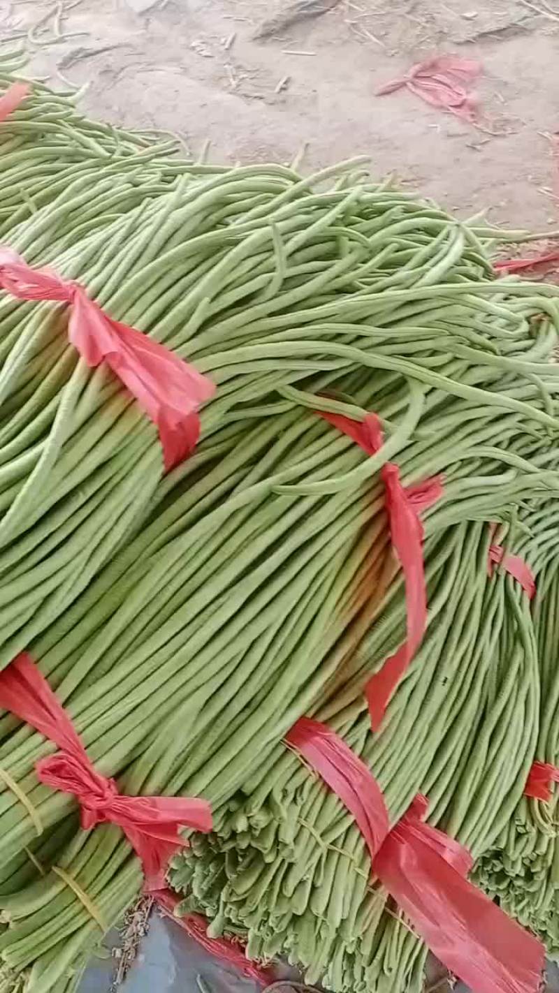 精品长豆角