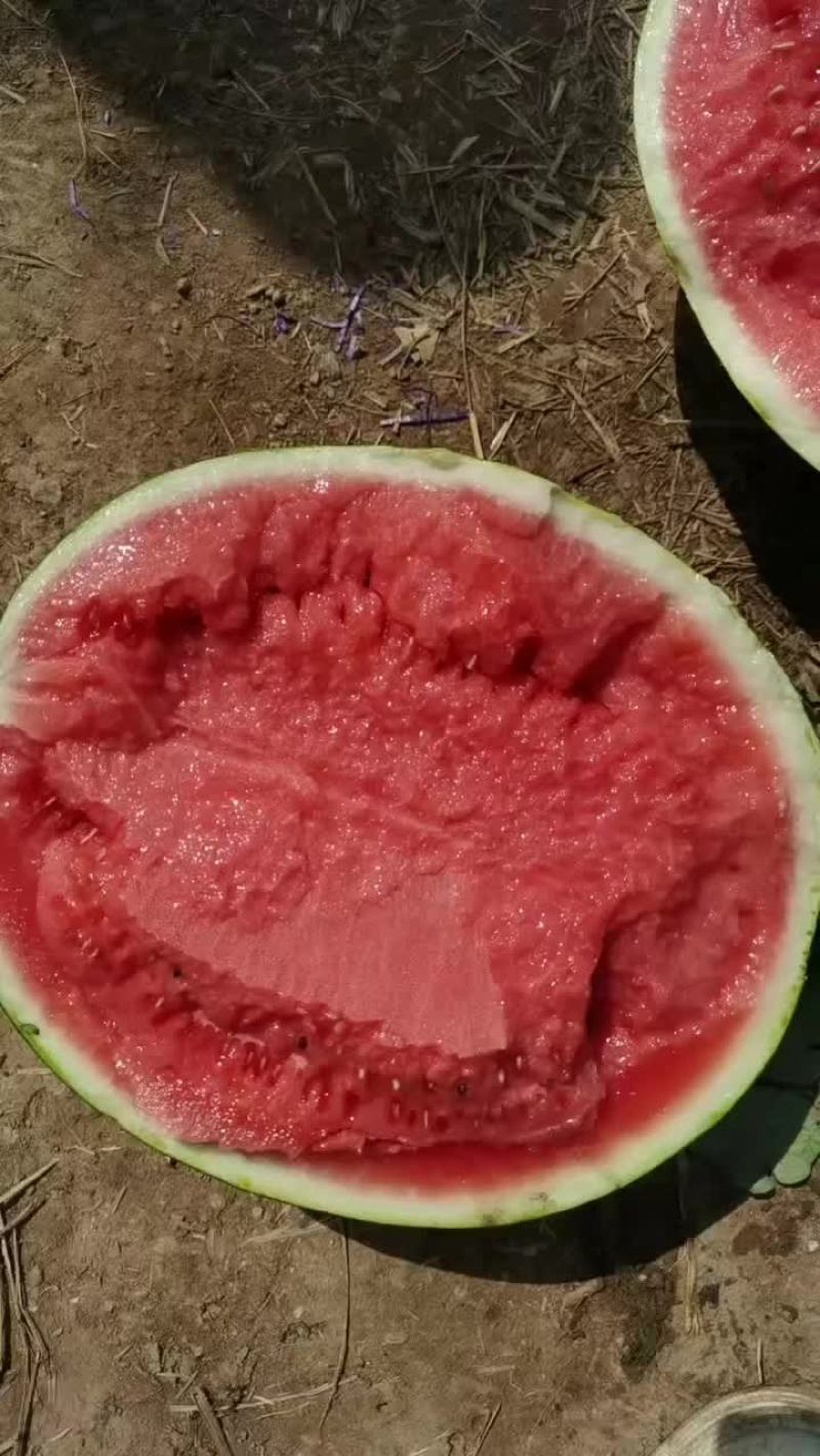 无籽甜王