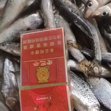 季花