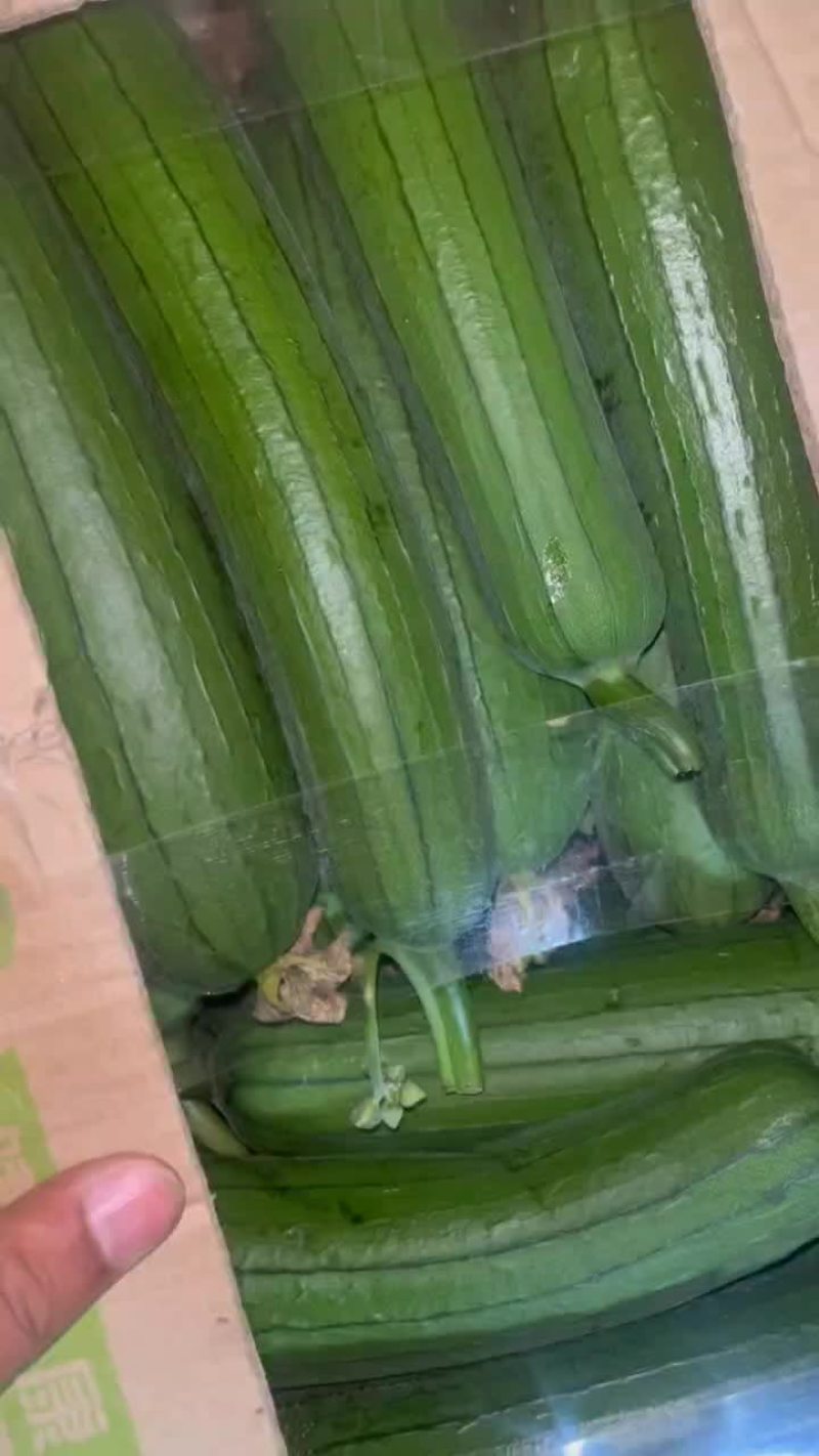 油皮丝瓜