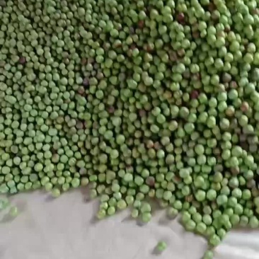 半边红
