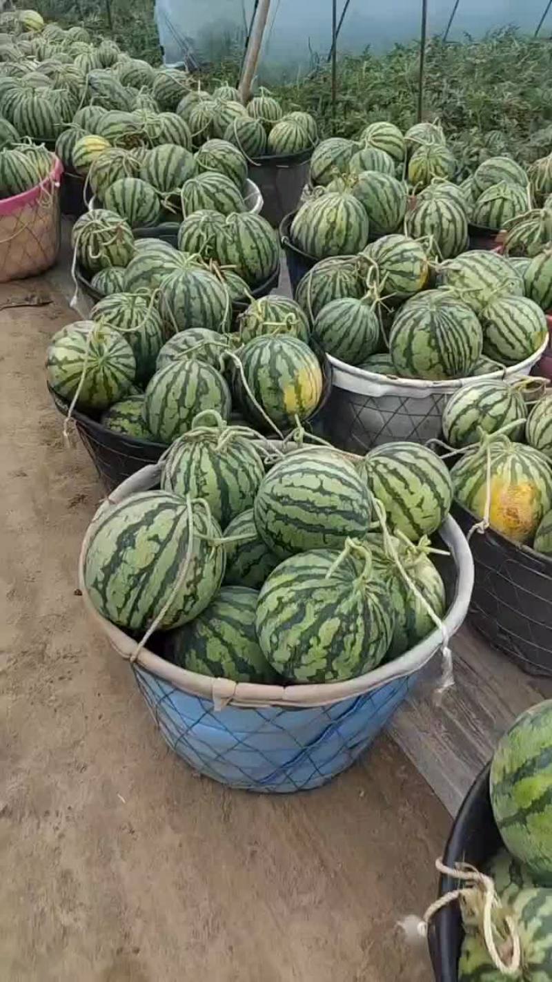 麒麟瓜