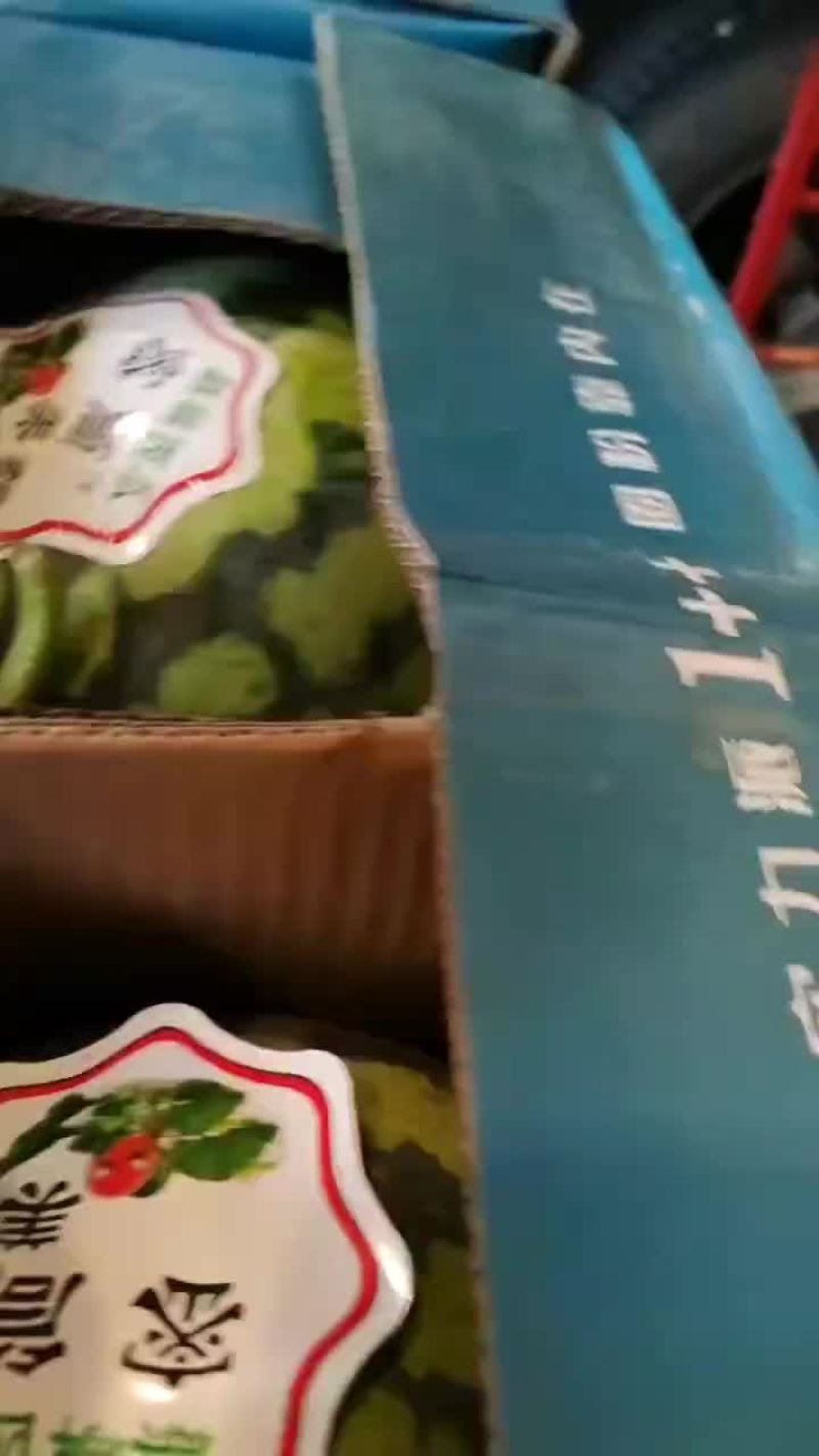 麒麟瓜
