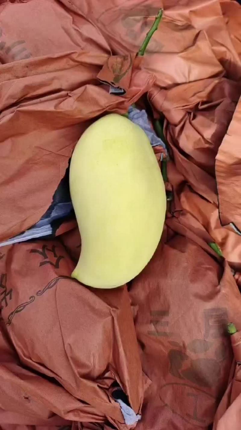 鹰嘴摸摸果需要的看过了质量好口感好还实惠