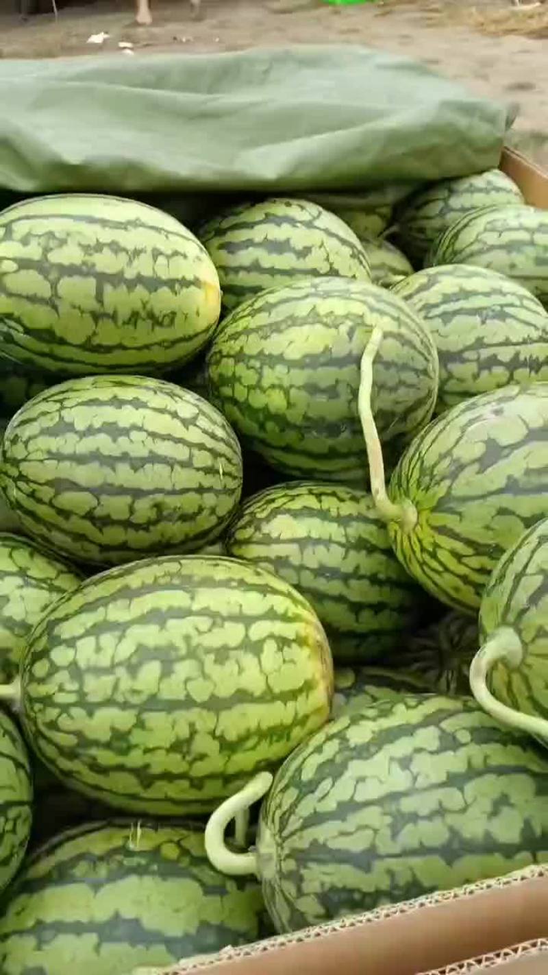口口脆佳秀