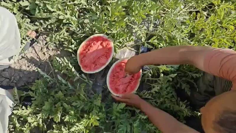 装破烂的，你别找我