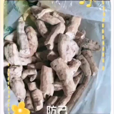 供应粉防己