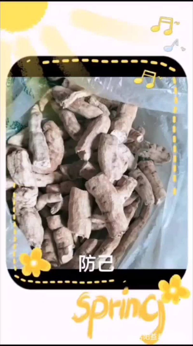 供应粉防己