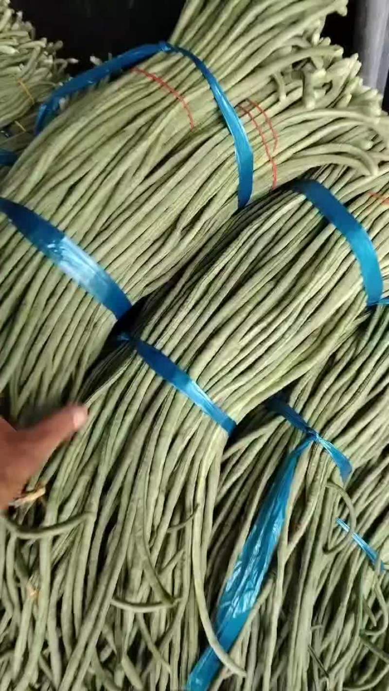 宿州市埇桥区青条豆角大量供应