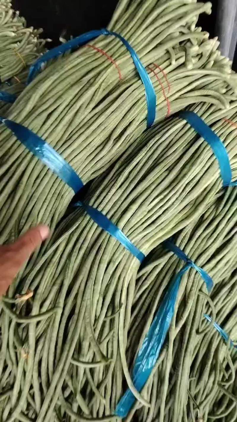 宿州市埇桥区青条豆角大量供应