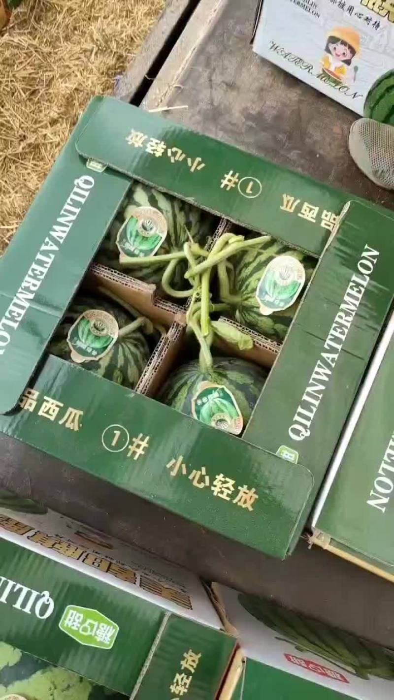 精品甘美4K大量上市欢迎全国各大商超对接，产地直发一手货源