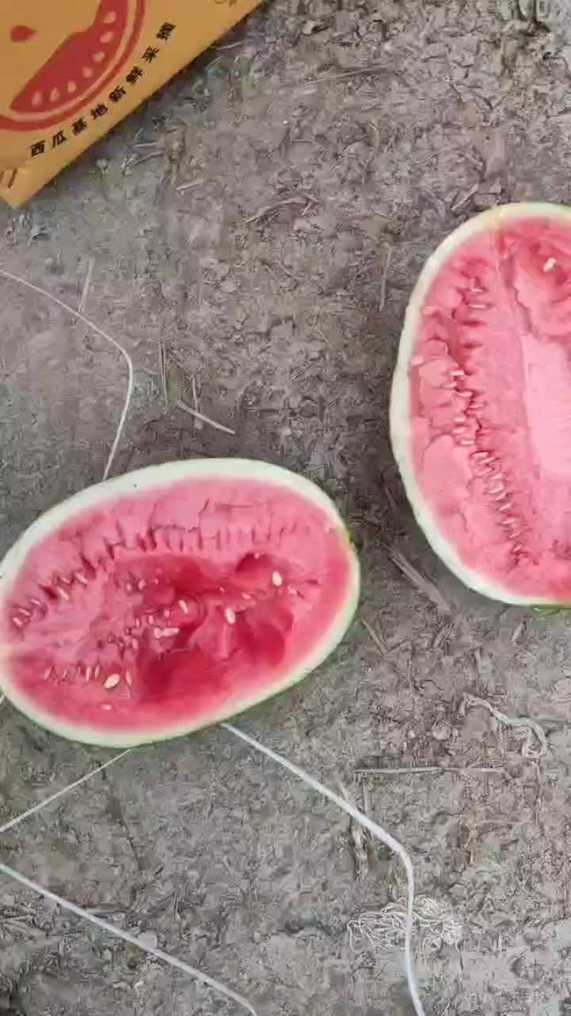 精品甘美4K大量上市欢迎全国各大商超对接，产地直发一手货源