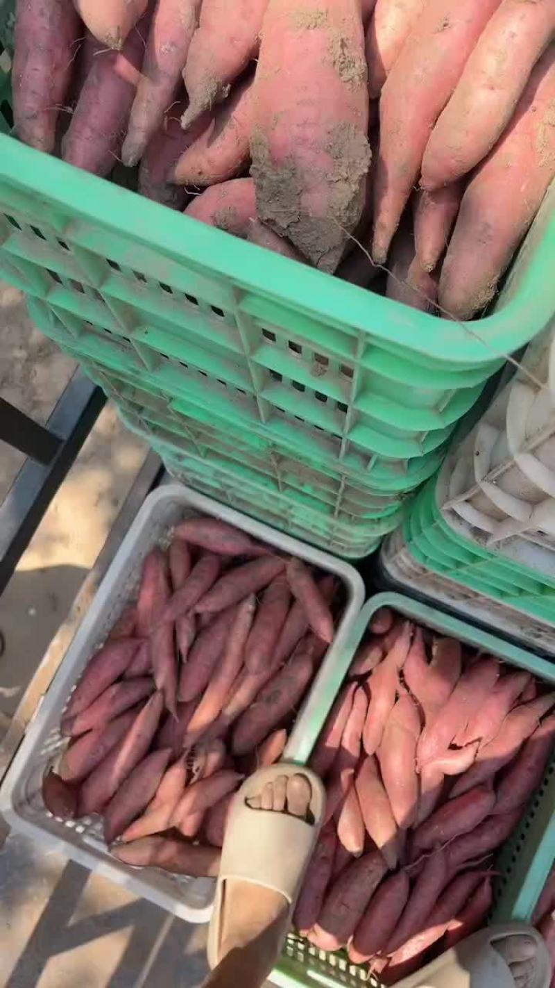 西瓜红