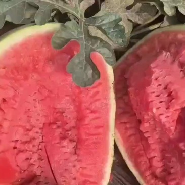 硒砂瓜