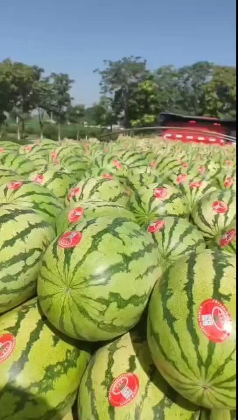 硒砂瓜