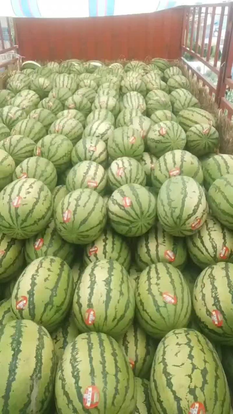 硒砂瓜