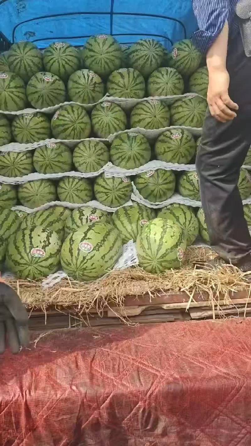 硒砂瓜