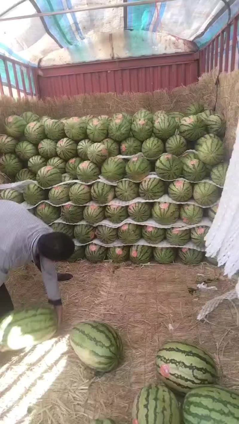 硒砂瓜