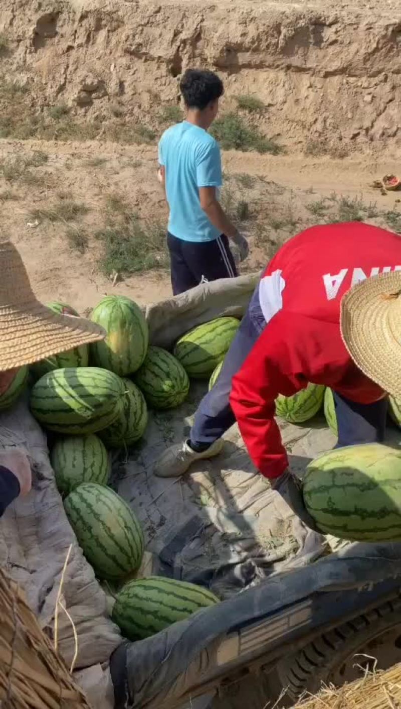 硒砂瓜