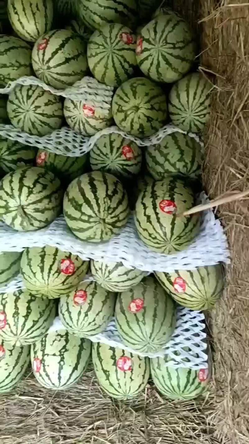 硒砂瓜