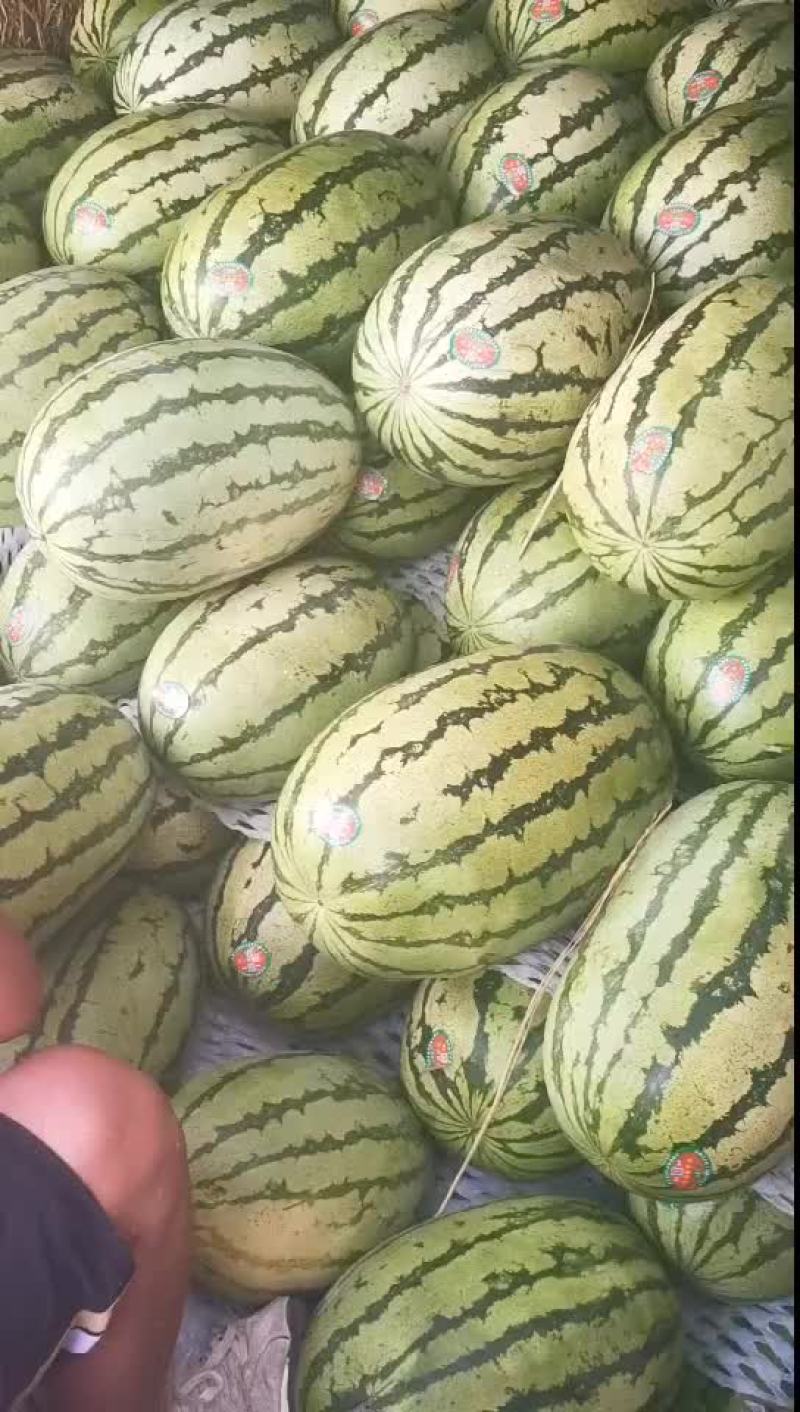 硒砂瓜