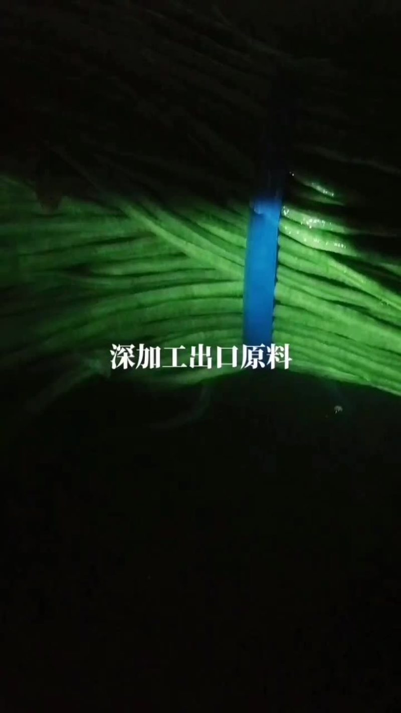 2025山东成武青条长豆角大量上市