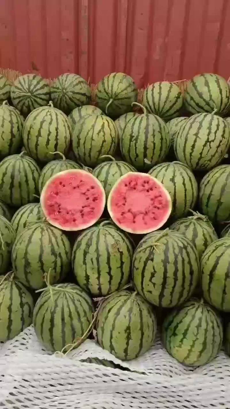 庆红999