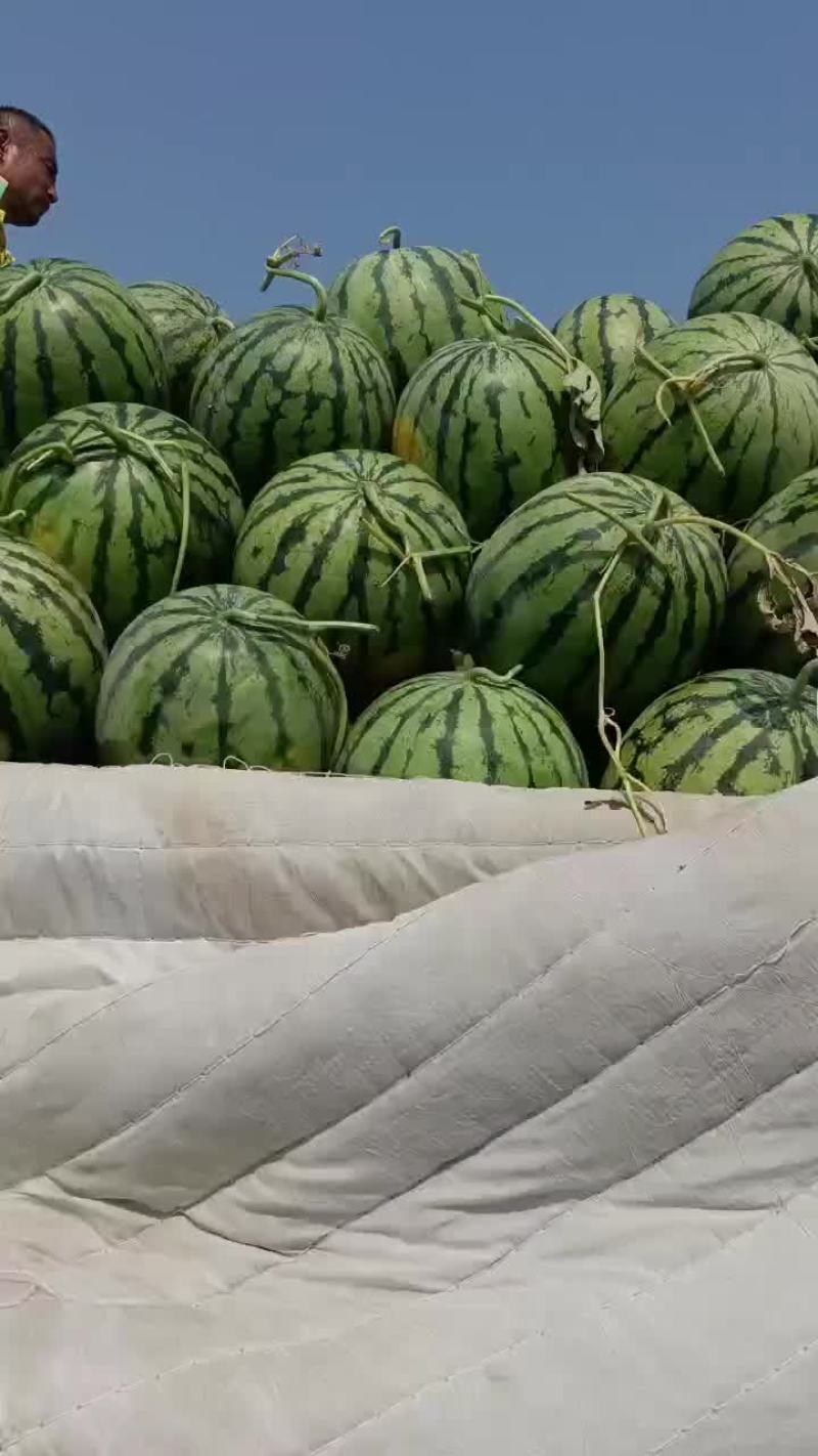 庆红999