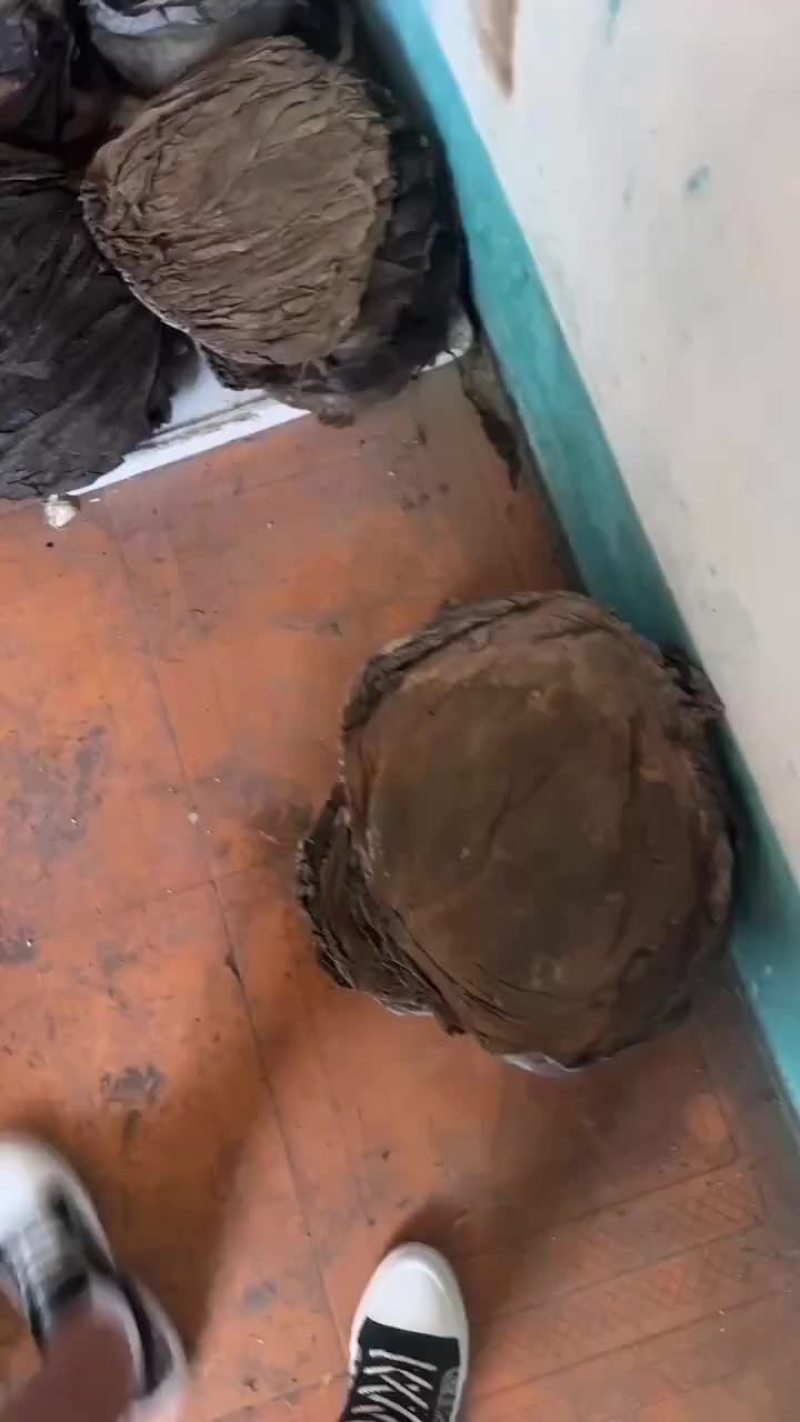 俄罗斯现货