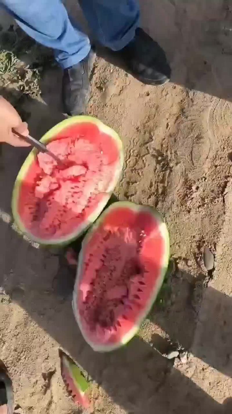 金花1