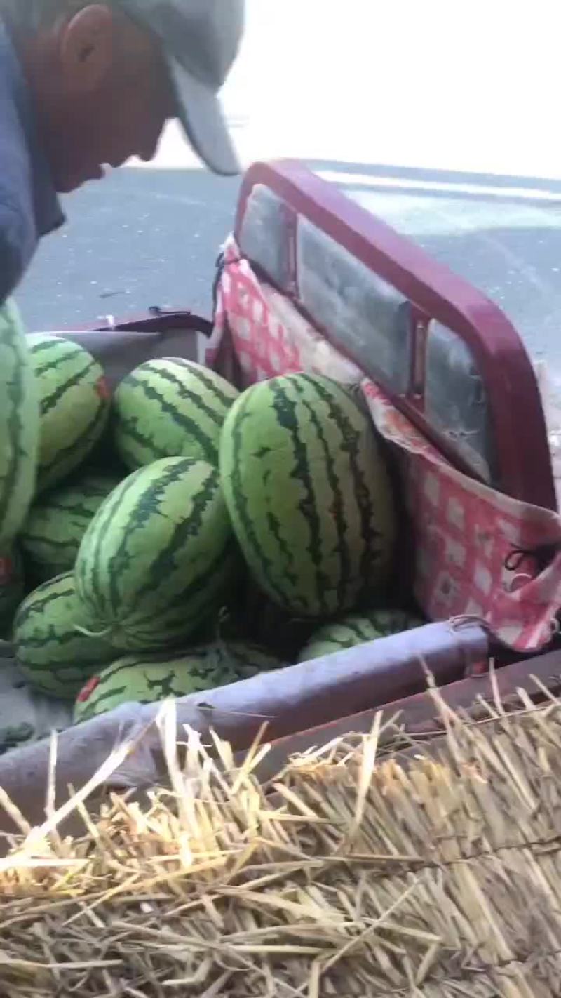 金花1