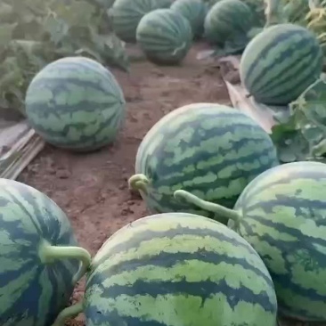 精品美都.箱装硬货