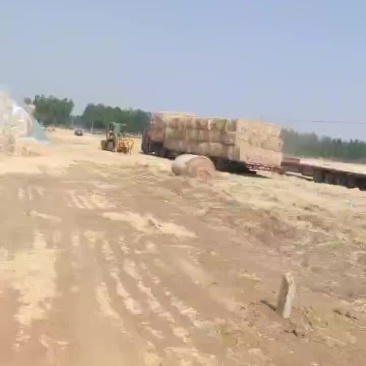 小麦秸秆一次性大方梱二次揉丝小套袋五道绳大白包
