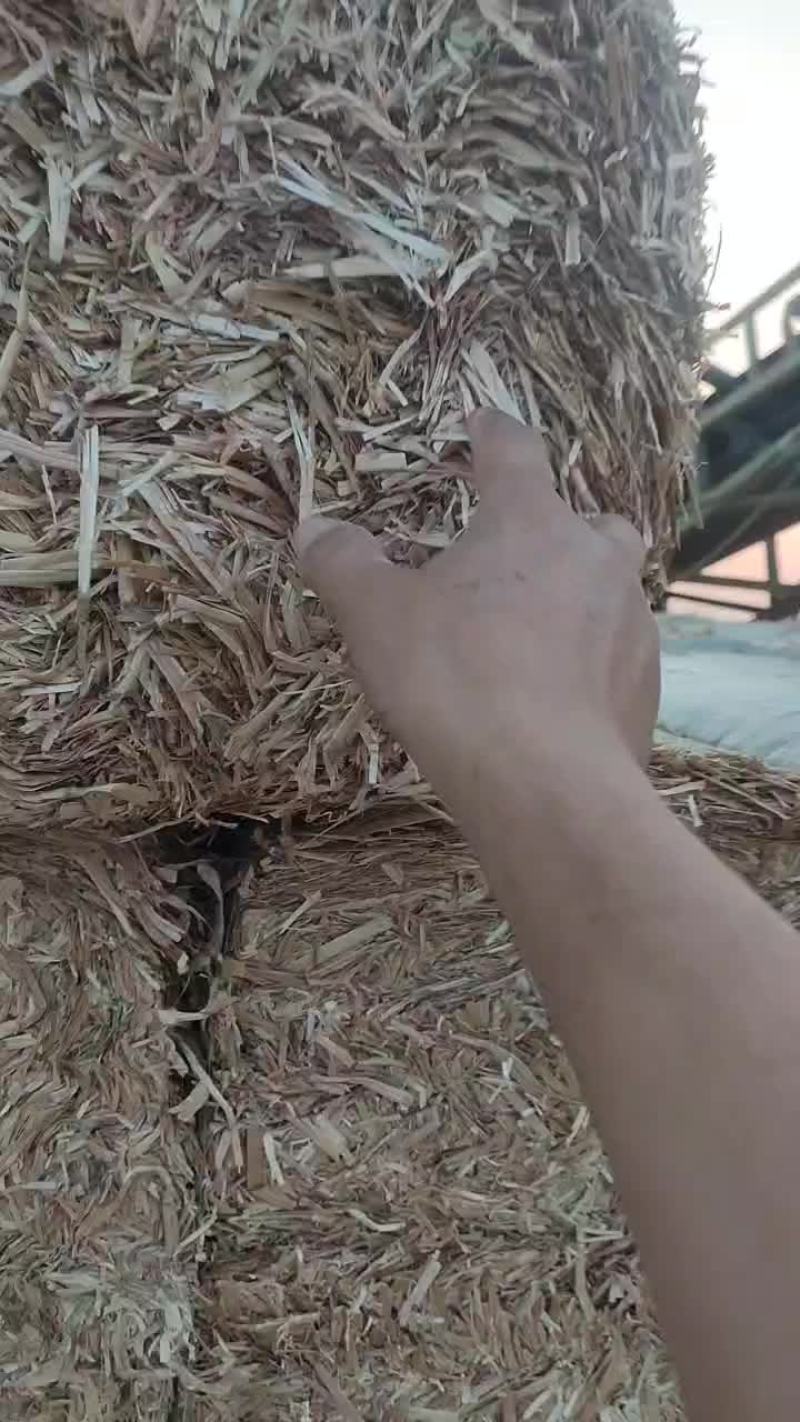 小麦秸秆一次性大方梱二次揉丝小套袋五道绳大白包