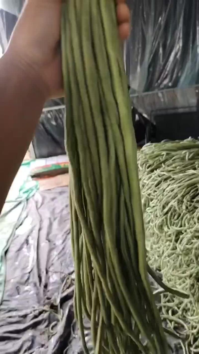 宿州埇桥青条豆角大量有货中