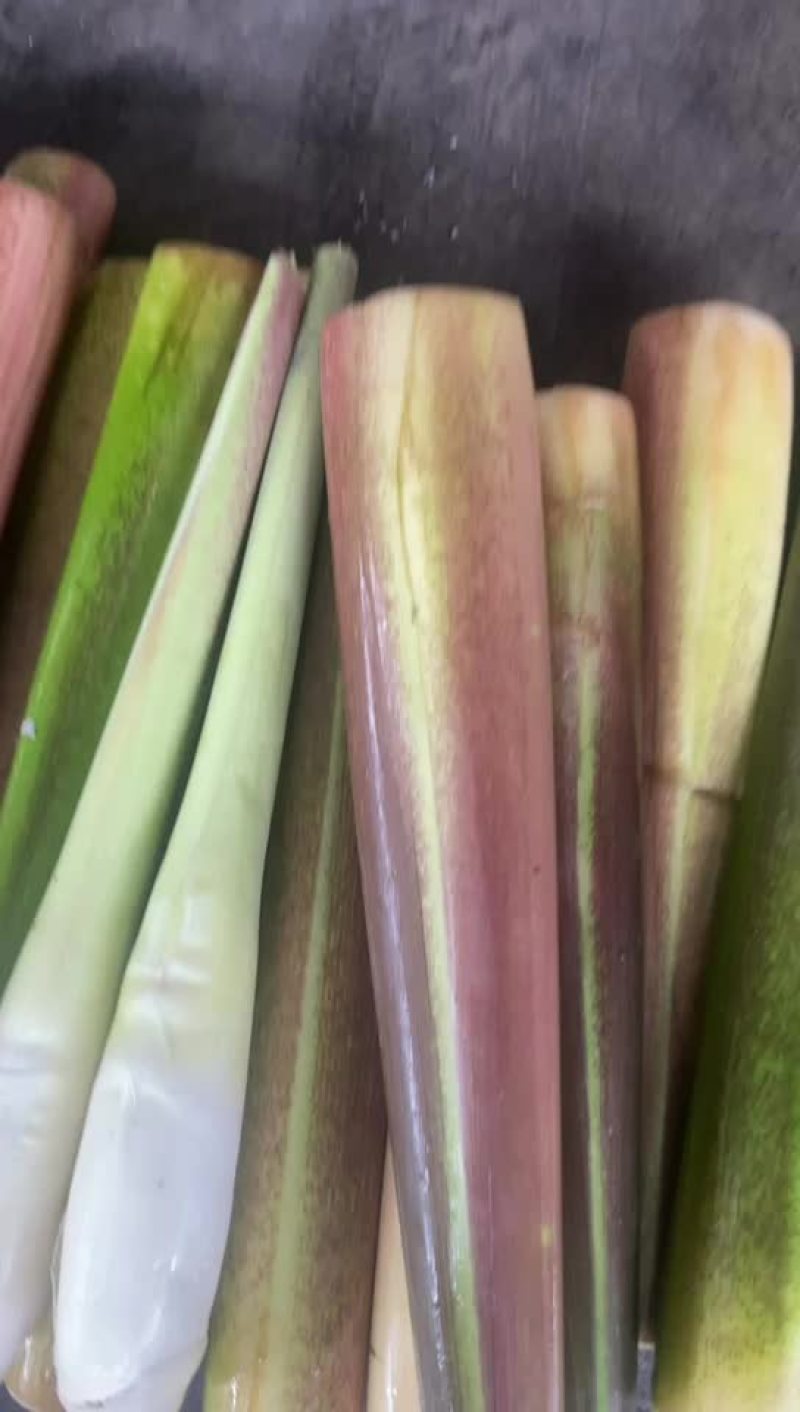 精品川茭大量上市！价格优惠