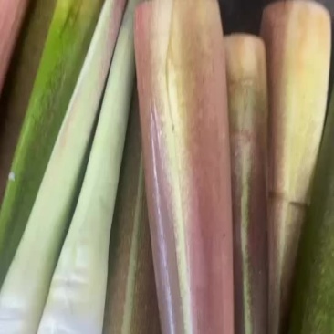 精品川茭大量上市！价格优惠