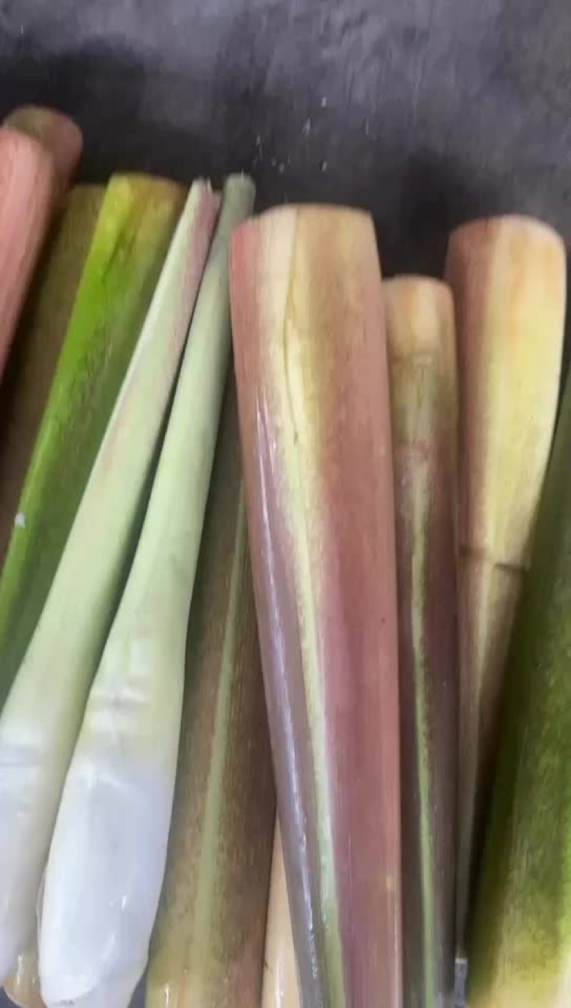 精品川茭大量上市！价格优惠