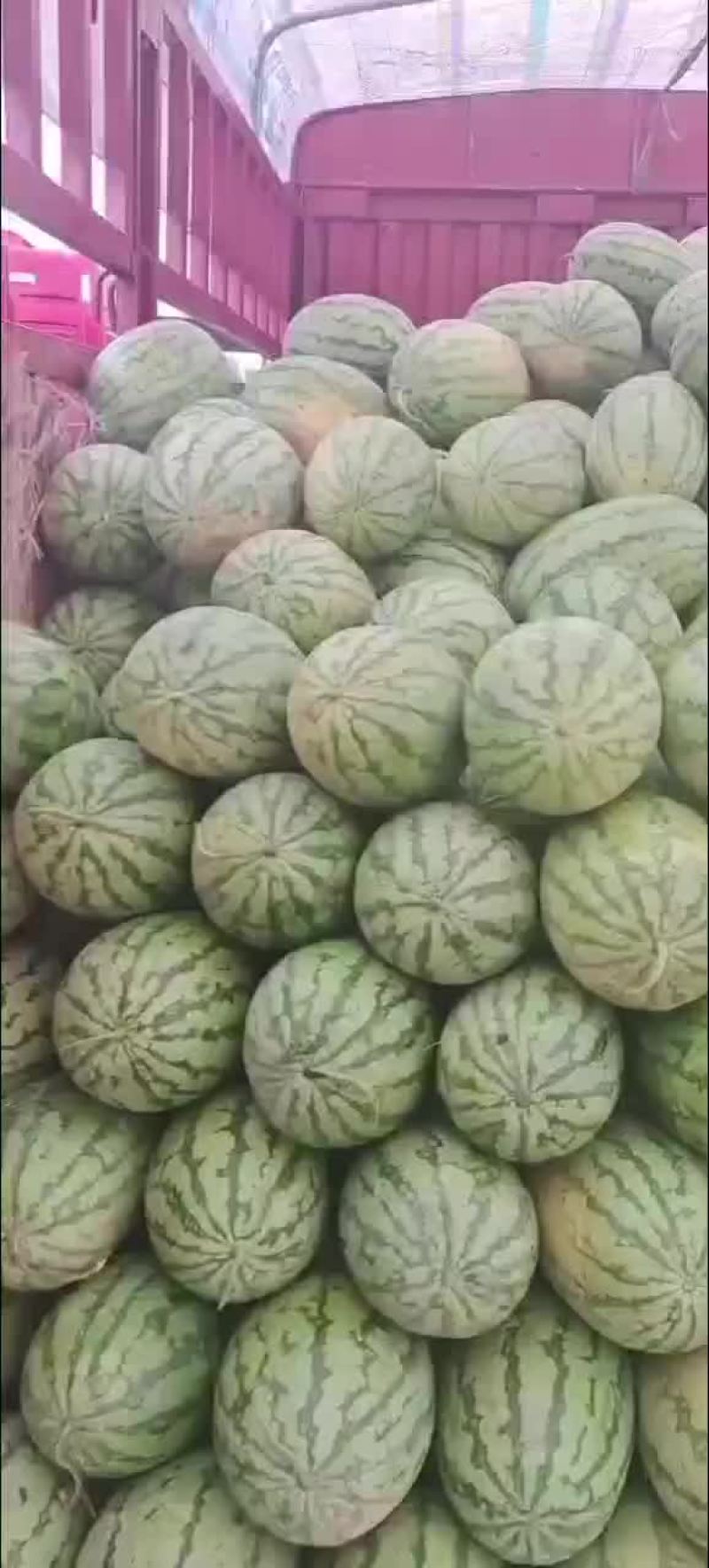 西瓜