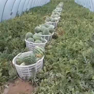 麒麟支持各种包装