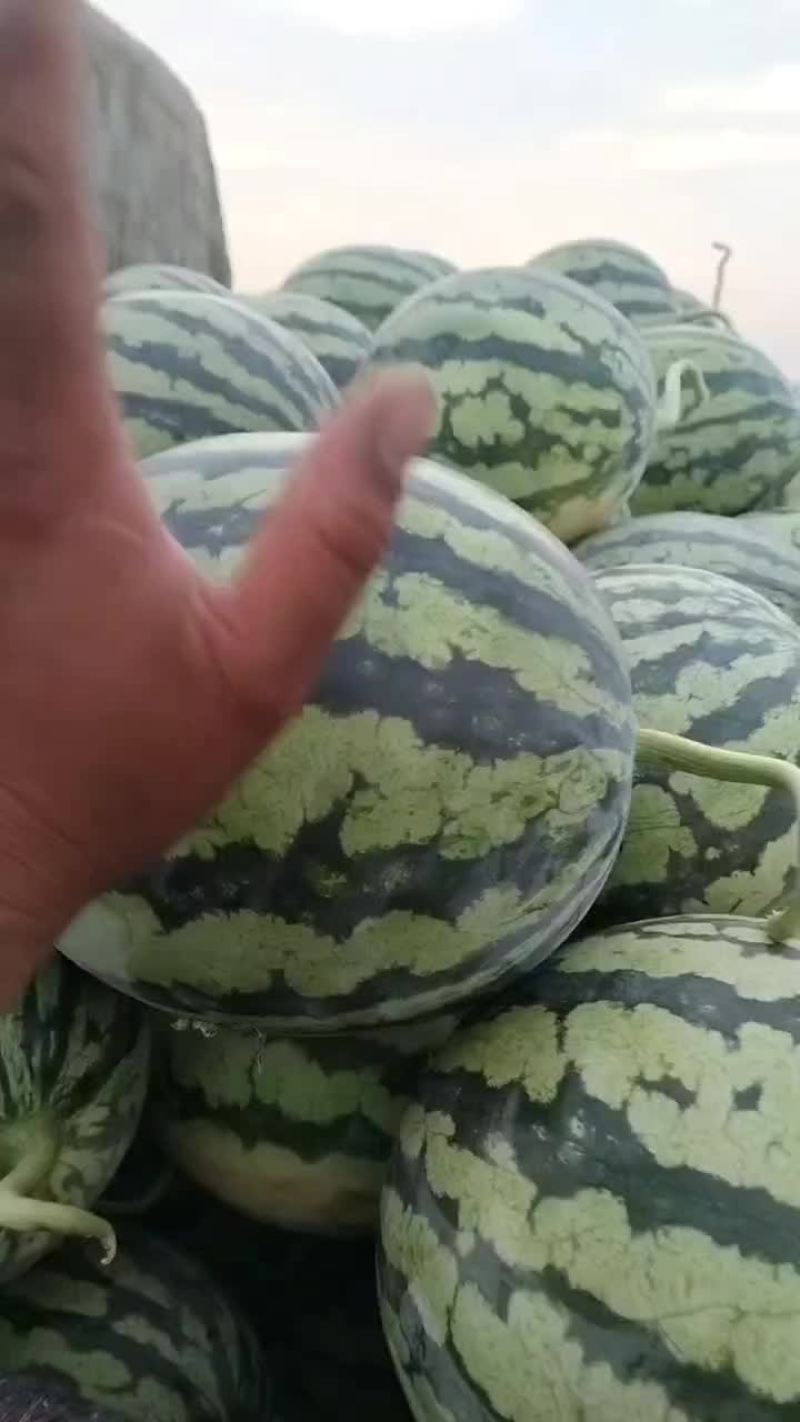 麒麟支持各种包装