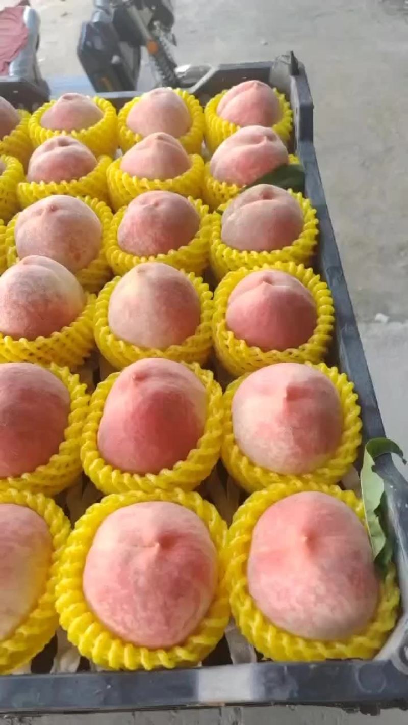 桃