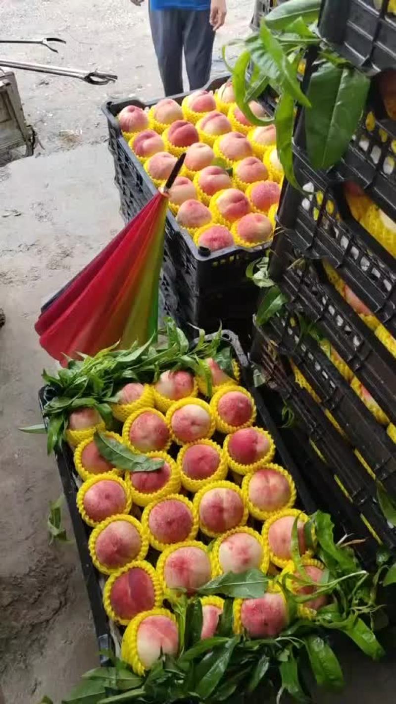 桃