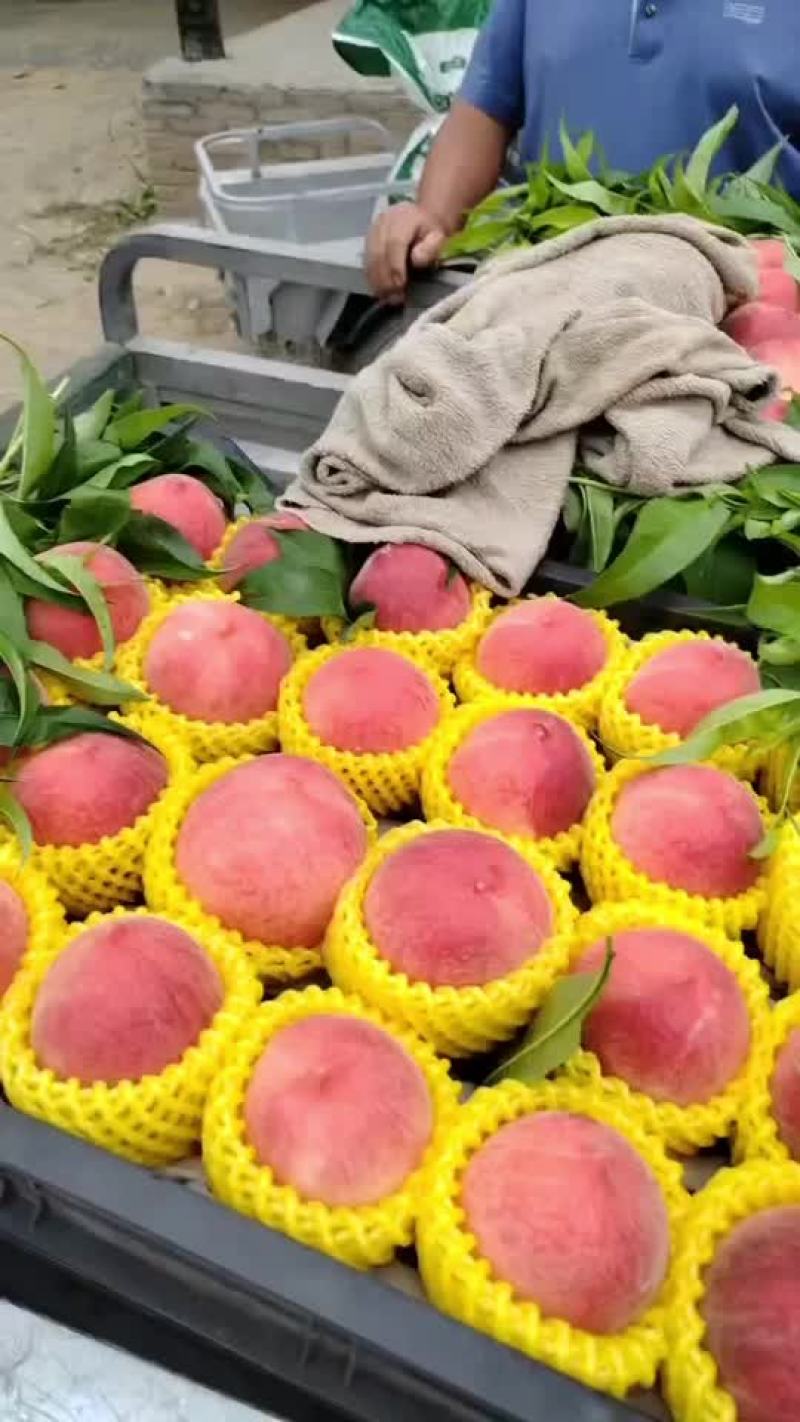 桃