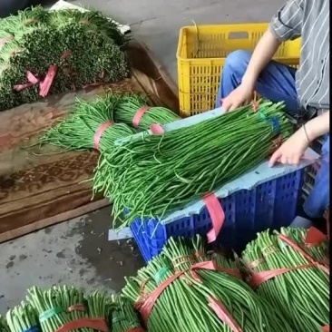 邯郸永年蔬菜批发基地