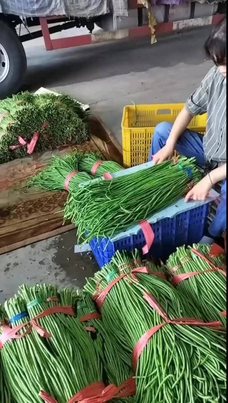 邯郸永年蔬菜批发基地