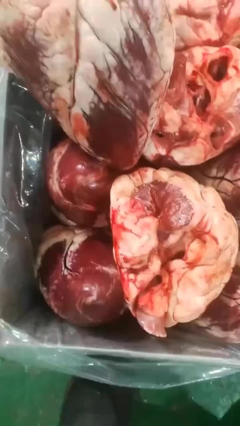 纯干牛心