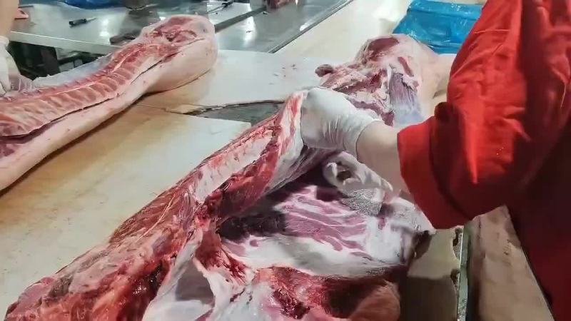 新鲜猪排骨，每天活猪现杀现屠宰分割的（鲜品）