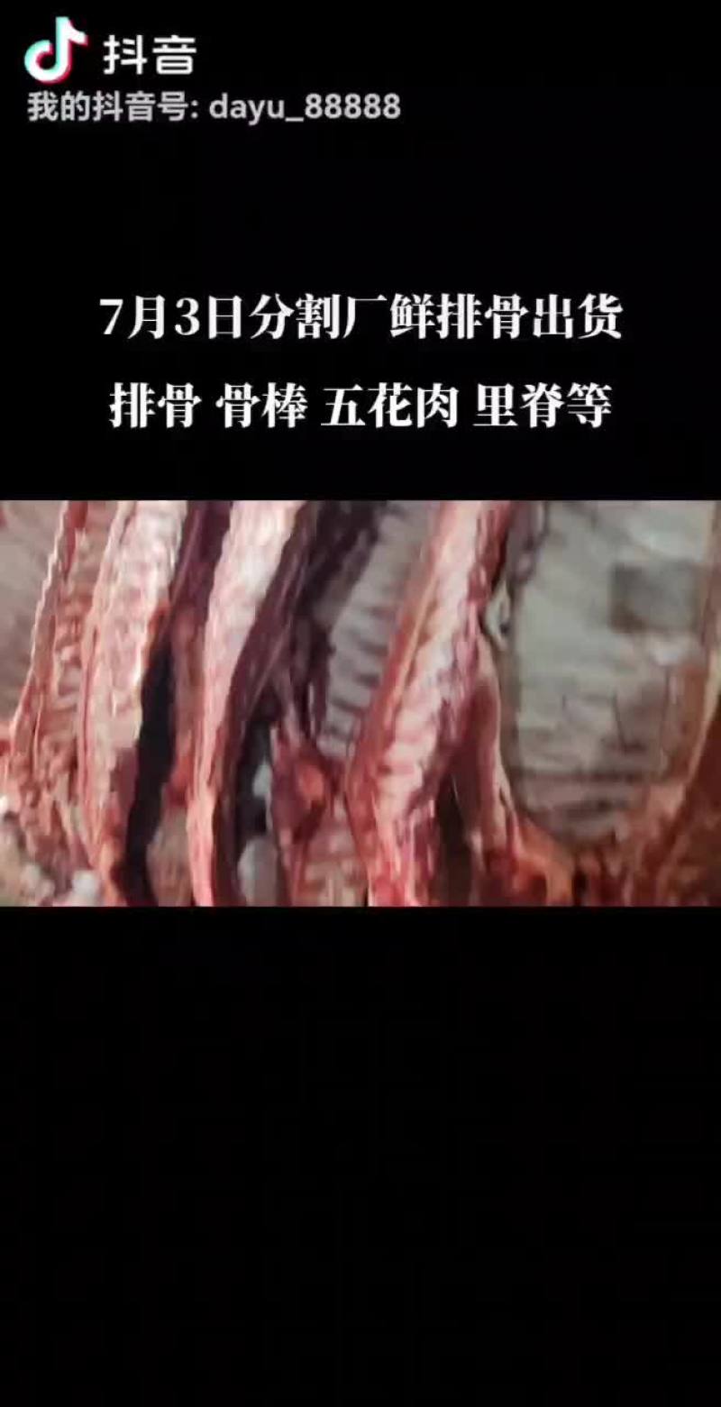 新鲜猪排骨，每天活猪现杀现屠宰分割的（鲜品）